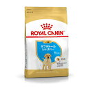 【訳あり大特価!】ロイヤルカナン(ドッグフード) BHN ラブラドールレトリバー 子犬用(生後15ヵ月齢まで) 3kg【賞味期限が2025年8月22日です。】