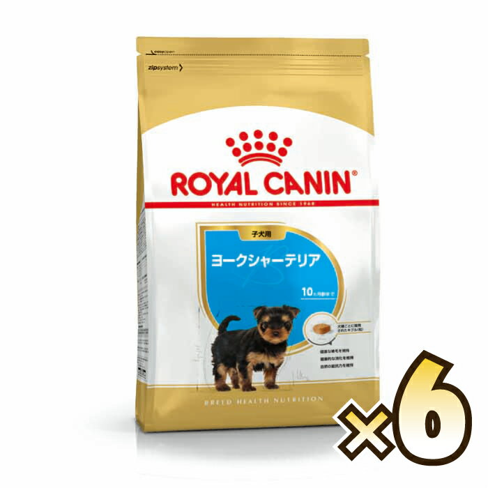 ڤʥۥ륫ʥROYAL CANIN 衼㡼ƥꥢ BHN Ҹ 10ʾ 11.5kg6ġ