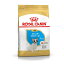 륫ʥROYAL CANIN ե֥ɥå ֥꡼ إ륹 ˥塼ȥꥷ Ҹ 12ޤ 3kg