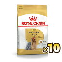 yȃP[XzCJiiROYAL CANINj [NV[eA BHN 獂p 10ȏ 1P[Xi800g~10j