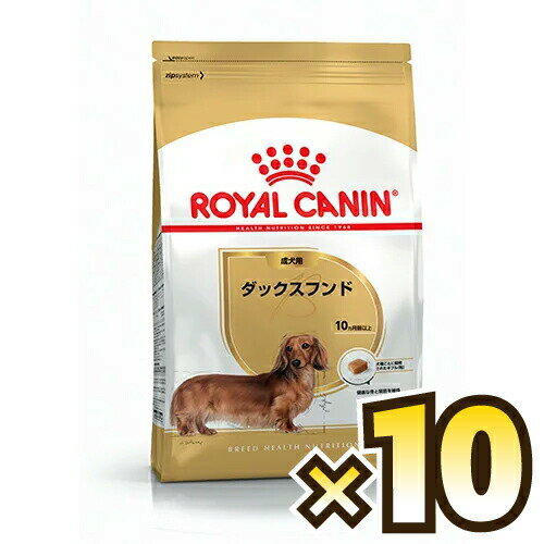 【お得なケース売り】ロイヤルカナン（ROYAL CANIN） ダックスフンド ブリード ヘルス ニュートリション 成犬用 生後10ヶ月齢以上 1ケース（800g×10個）