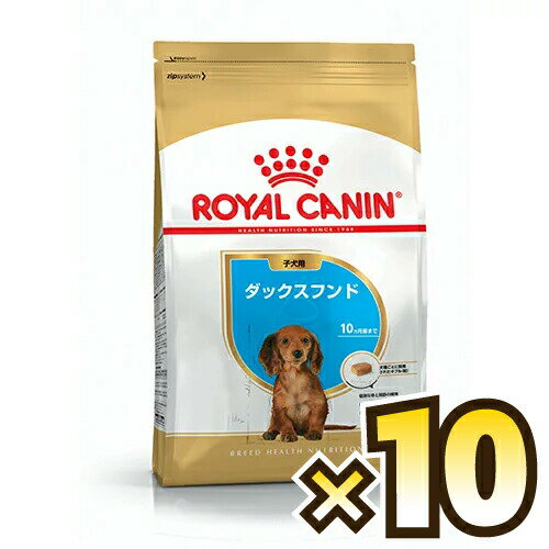 【お得なケース売り】ロイヤルカナン（ROYAL CANIN） ダックスフンド ブリード ヘルス ニュートリション 子犬用 生後10ヶ月齢まで 1ケース（800g×10個）