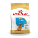 ロイヤルカナン（ROYAL CANIN） プードル ブリード ヘルス ニュートリション 子犬用 生後10ヶ月齢まで 800g