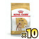 ロイヤルカナン（ROYAL CANIN） プードル ブリード ヘルス ニュートリション 成犬用 生後10ヶ月齢以上 1ケース（800g×10個）