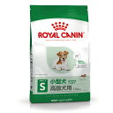 CJiiROYAL CANINj ~jGCWO 12+ TCY wX j[gV ^ p 12Έȏ 1.5kg