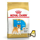 楽天マペット【お得なケース売り】ロイヤルカナン（ROYAL CANIN） 柴犬 ブリード ヘルス ニュートリション 子犬用 生後10ヶ月齢まで 1ケース（3kg×4個）