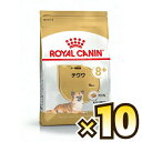 yȃP[XzCJiiROYAL CANINj ` u[h wX j[gV Ep 8Έȏ 1P[Xi800g~10j