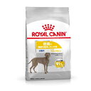 【訳あり大特価!】ロイヤルカナン(ドッグフード) CCN マキシ ダーマコンフォート 大型犬用 皮膚の健康を維持したい犬用 生後15ヵ月齢以上 3kg 【賞味期...