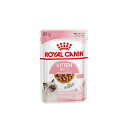 ロイヤルカナン（ROYAL CANIN） キトン