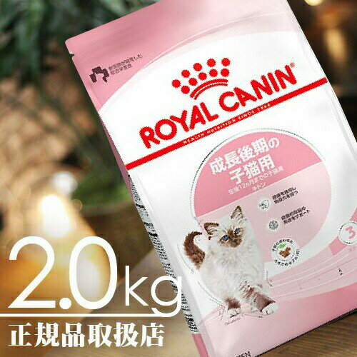 ロイヤルカナン（ROYAL CANIN） キトン フィーライン ヘルス ニュートリション 生後12ヶ ...