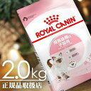 【送料無料】ロイヤルカナン（ROYAL CANIN） キトン フィーライン ヘルス ニュートリション 生後12ヶ月齢まで 2kg