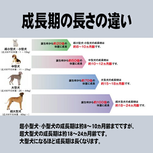 ロイヤルカナン(ROYAL CANIN) ミニ...の紹介画像2