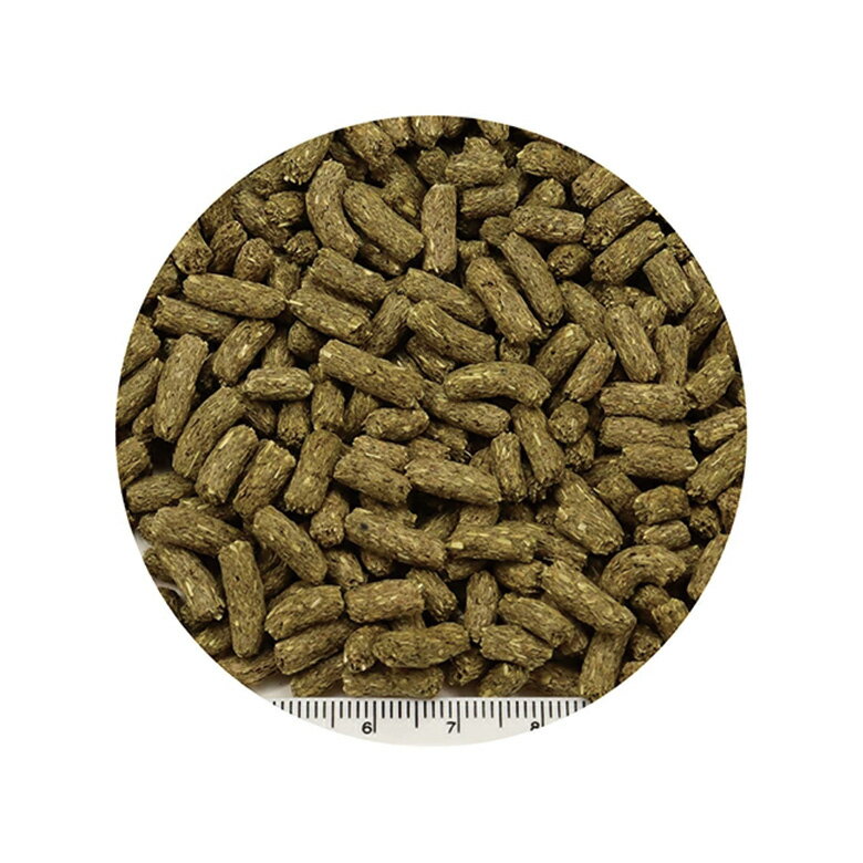 【毎週入荷の新鮮在庫】【送料無料】三晃（サンコー） ラビットプラス ダイエット...