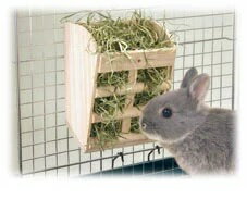 ����ե��������ˤʤ뤫�����ڡ���� x24��