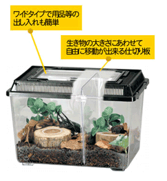 �����ʥ��󥳡��� �ѡ��ơ�����󥱡��� ��