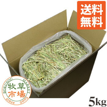 【送料無料】牧草市場 オーツヘイ牧草（スーパープレミアムグレード） 5kg（うさぎ・モルモットなどの牧草） 【so-ymt】