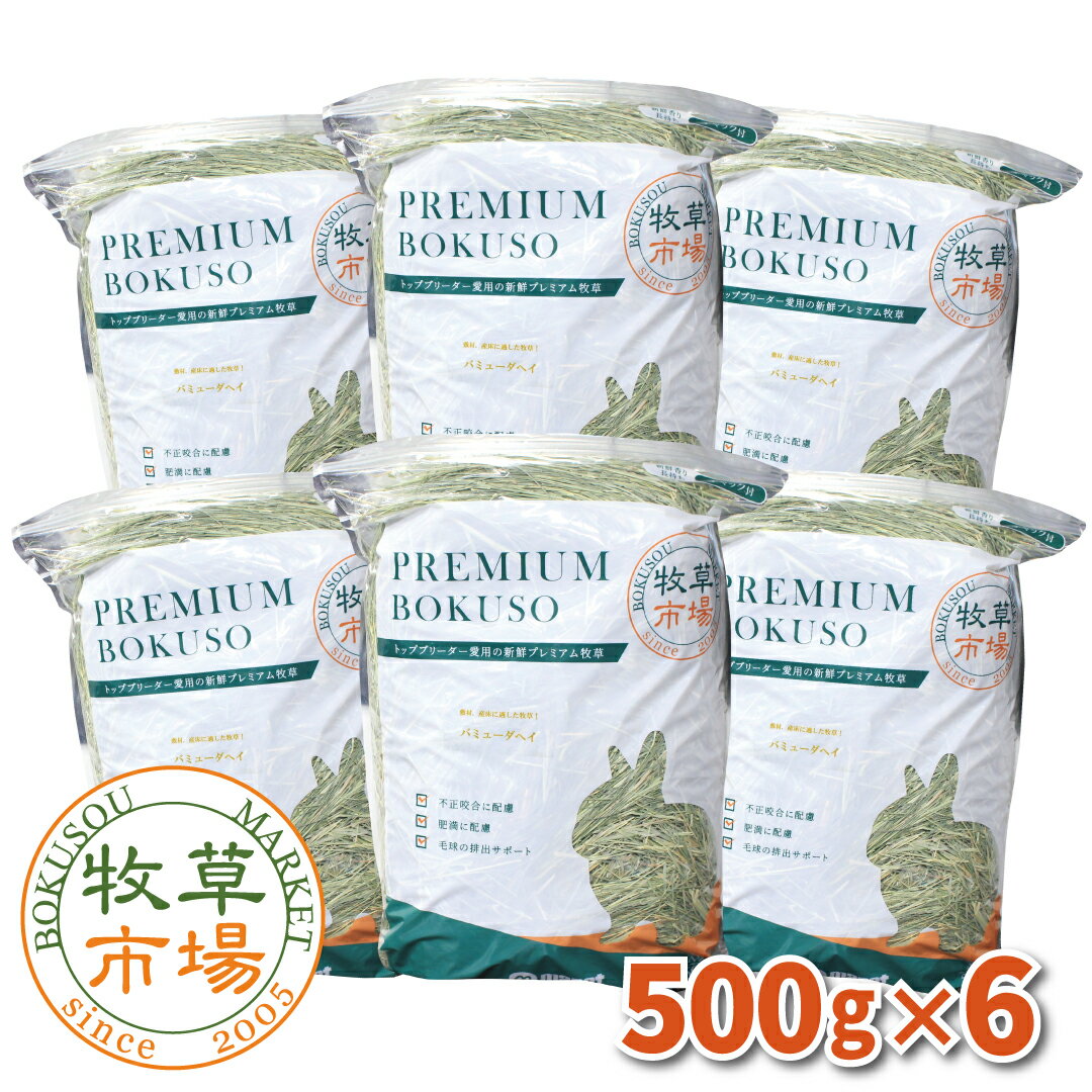 牧草市場 バミューダヘイ3kg（500g×6パック） 《牧草》（うさぎ・モルモットなどの敷き牧草） 