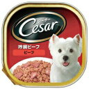 シーザー 吟撰ビーフ ビーフ100g