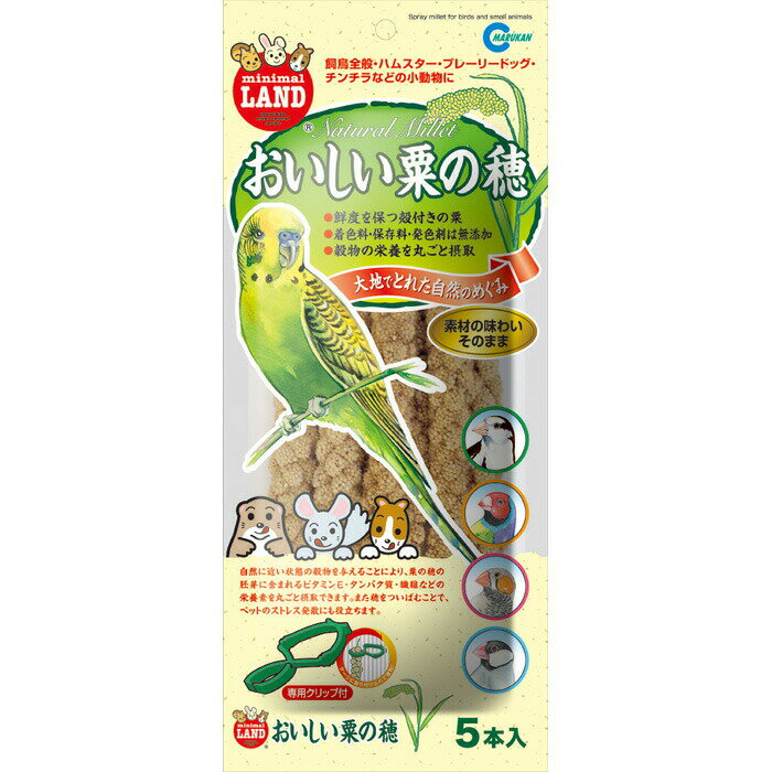 おいしい粟の穂 5本