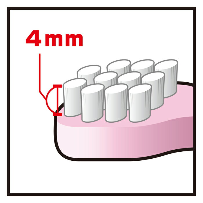 デントレーナー やわらかブラシ グリーン 1本