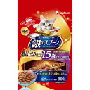 銀のスプーン 腎臓健康維持用15歳800g