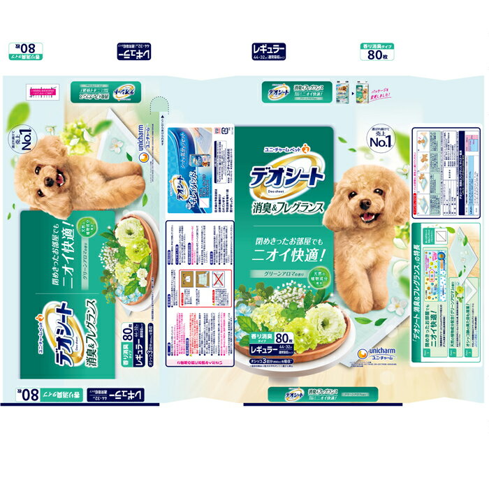 �ǥ������� �ý����ե쥰��� ���꡼�󥢥��ޤι�� �쥮��顼 80��
