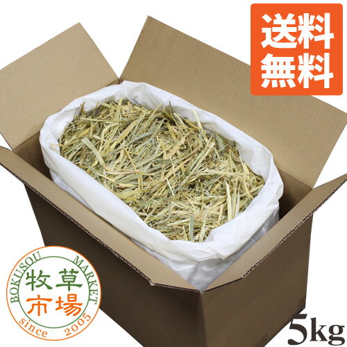 【送料無料】牧草市場 ウィートヘイ 5kg（うさぎ・モルモットなどの牧草） 【so-ymt】