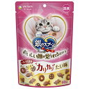 銀のスプーン おいしい顔がみられるおやつ カリカリたい味 60g