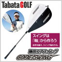 タバタ 藤田コアスイング GV-0233 ゴルフ用品 ゴルフ練習器 ゴルフ練習器具 スイング タバタ 藤田コアスイング GV-0233 ゴルフ用品 ゴルフ練習器 ゴルフ練習器具 スイング