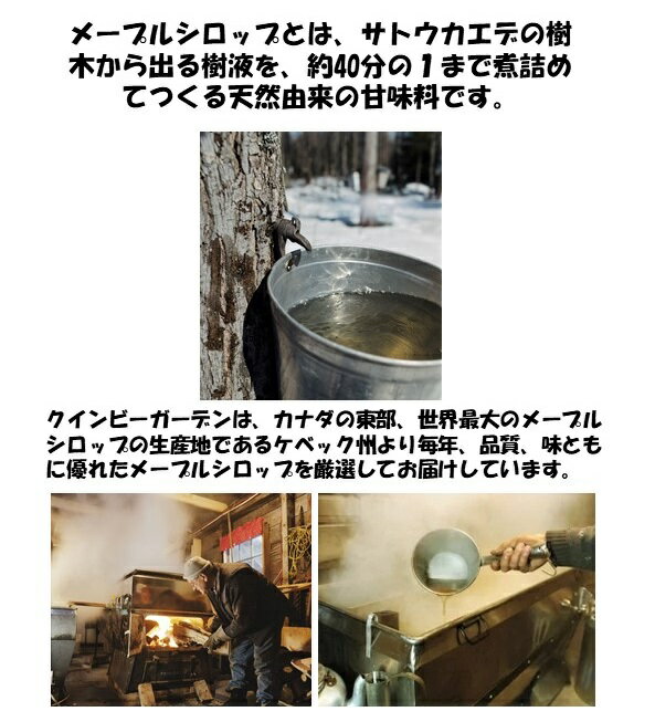 �ڥ��̡��ԡ� �ѥ󥱡��������åס�100%�ԥ奢�᡼�ץ륷���åסˡ�SNOOPY ���åɥ��㡼���դ� ������� �İ��� PEANUTS �͵� �ץ쥼��� ���ե� ���ڻ� ���ˤ� ���ʥ� ���٥å��� �衼����� �ѥ�