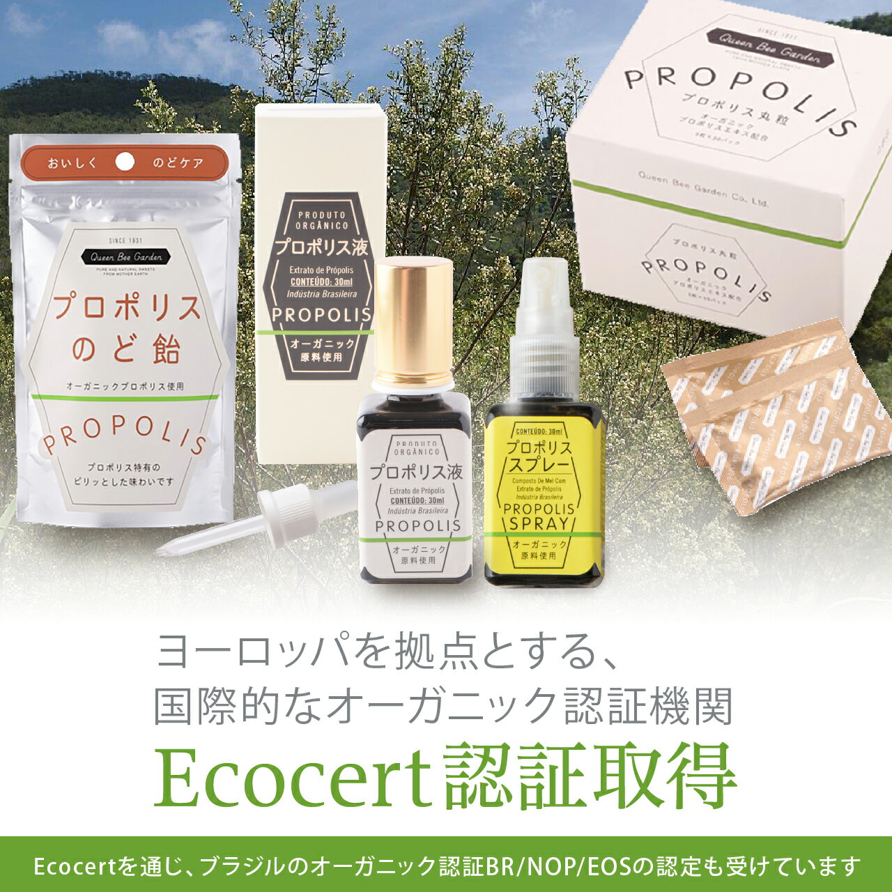【プロポリス丸粒(オーガニック)】送料無料オーガニックプロポリス抗菌力丸粒錠剤飲みやすい送料無料プロポリスオーガニックブラジル産プロポリス健康食品グリーンプロポリス免活アレクリンはちみつ老舗