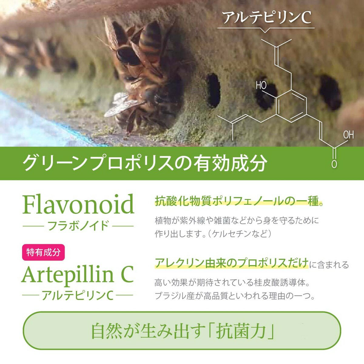 【プロポリス丸粒(オーガニック)】送料無料オーガニックプロポリス抗菌力丸粒錠剤飲みやすい送料無料プロポリスオーガニックブラジル産プロポリス健康食品グリーンプロポリス免活アレクリンはちみつ老舗