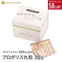 アウトレット50%OFF【プロポリス丸粒】送料無料 プロポリス 抗菌力 丸粒 錠剤 飲みやすい 送料無料 プロポリス ブラジル産 プロポリス 健康食品 グリーン...