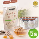 6/25はP5倍&最大300円OFFクーポン【プロポリスのど飴 5袋セット】人気商品 ぷろぽりす 乾燥対策 クインビーガーデン 公式 のど飴 プロポリス オーガ...