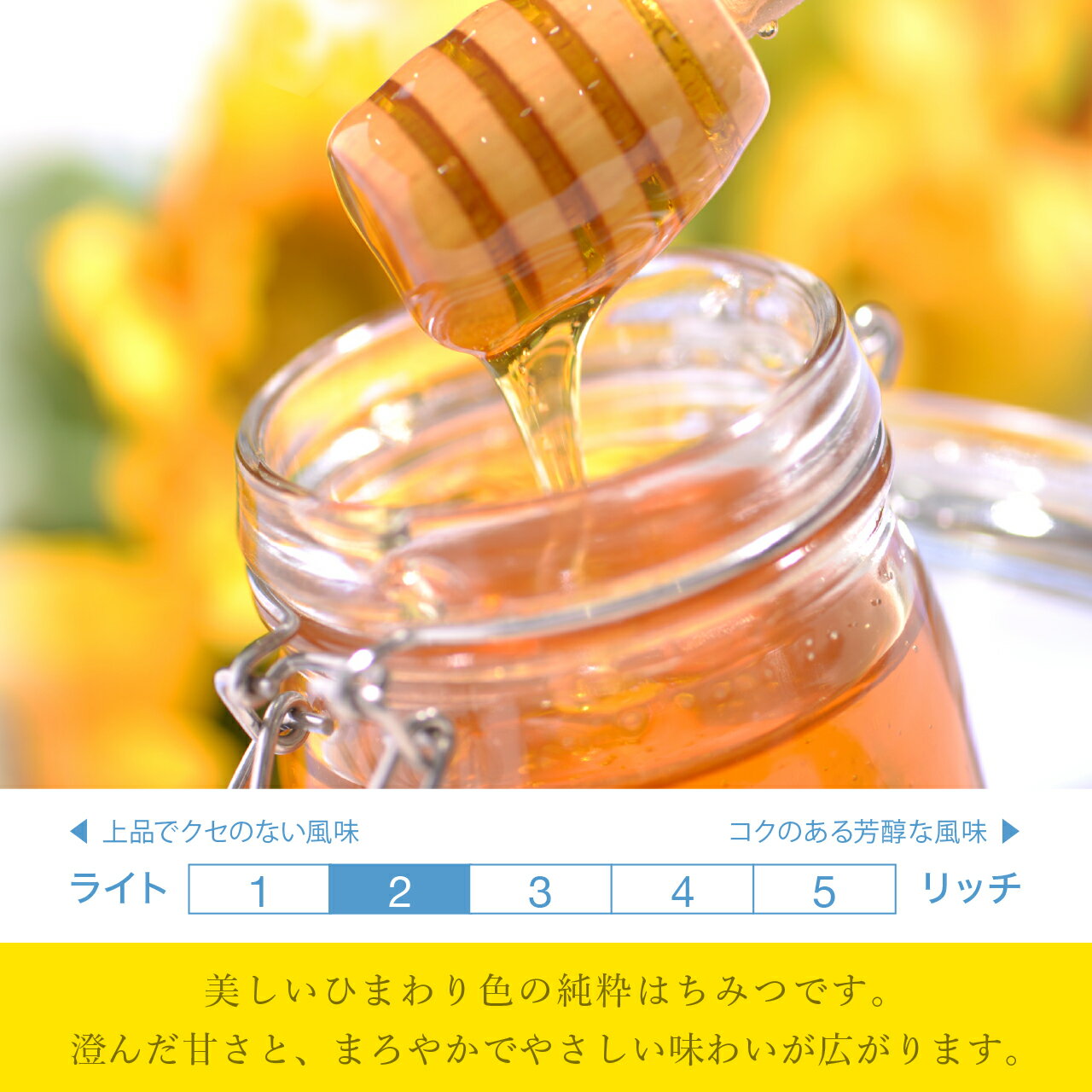 【ウクライナ産 ひまわり はちみつ 200g】...の紹介画像3