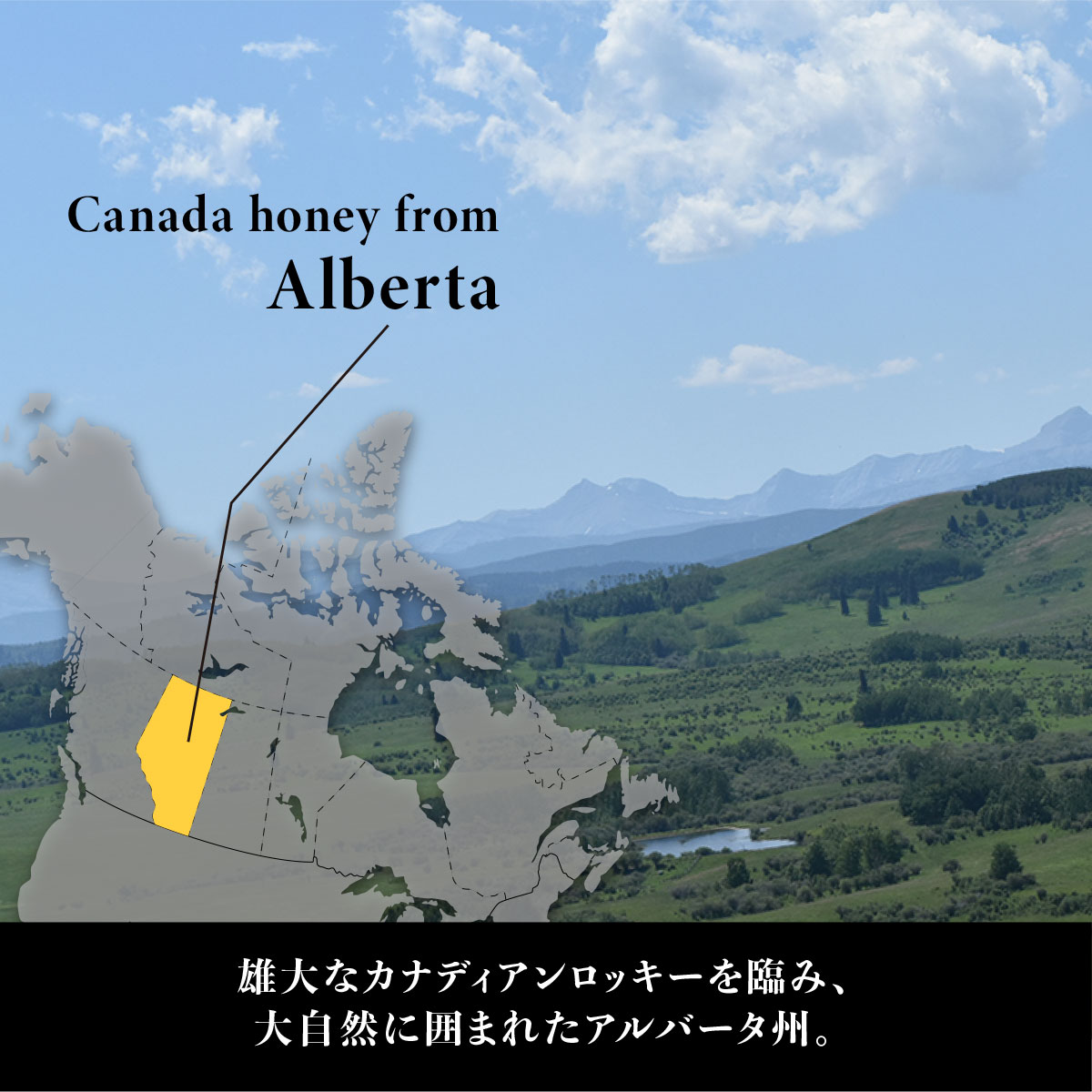 安心安全・国内充填！まろやかな味わい
