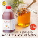 【メキシコ産オレンジはちみつ2.5kg】大容量 プロ御用達 業務用 純粋 ピュア 国内充填 安心 安全 クインビーガーデン 公式 お菓子作り 高評価 製菓 製パ...