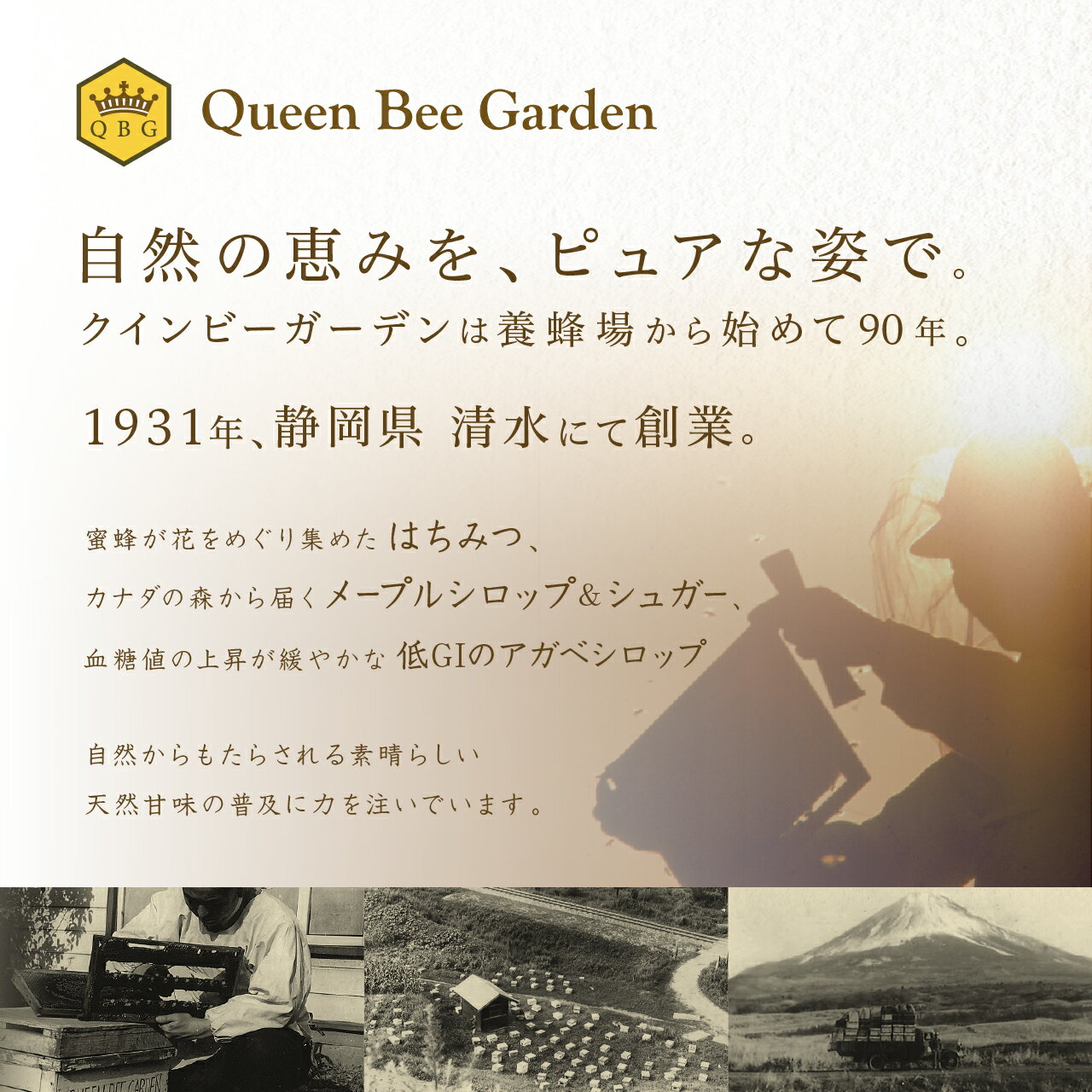 【プロポリス丸粒(オーガニック)】送料無料オーガニックプロポリス抗菌力丸粒錠剤飲みやすい送料無料プロポリスオーガニックブラジル産プロポリス健康食品グリーンプロポリス免活アレクリンはちみつ老舗