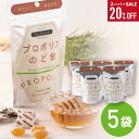 スーパーSALE 20%OFF【プロポリスのど飴 5袋セット】人気商品 ぷろぽりす 乾燥対策 クインビーガーデン 公式 のど飴 プロポリス オーガニックプロポリス 安心 自然派 ナチュラル のどケア グリーンプロポリス ブラジル キャンディ