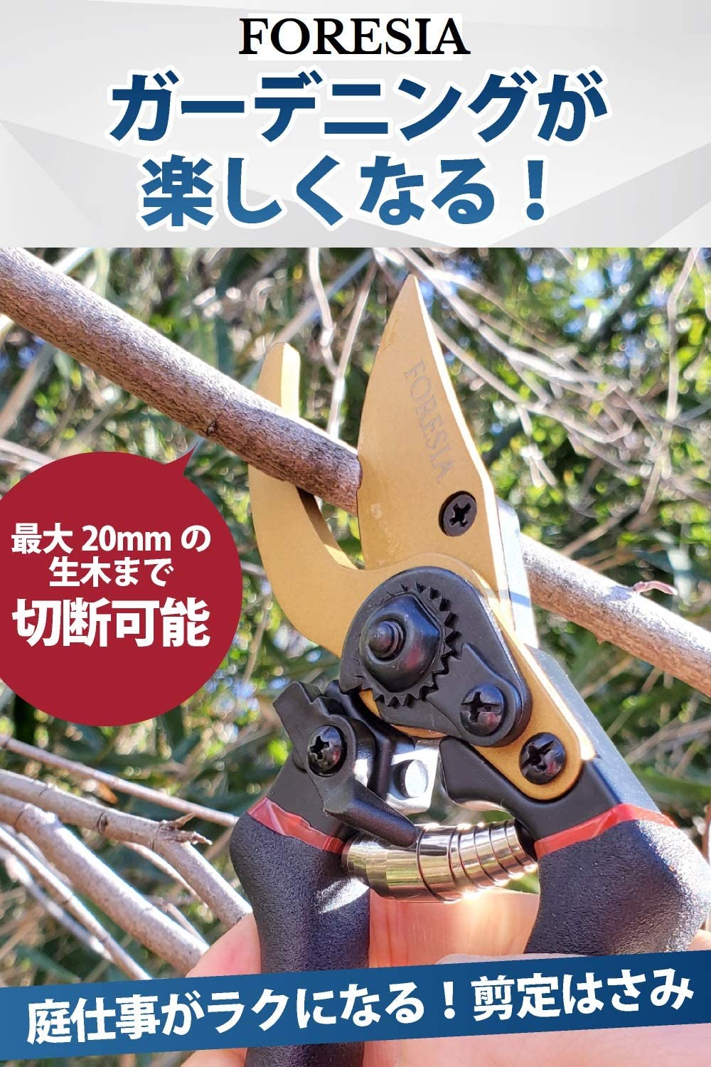 黒竹とは その特徴や育て方を解説 剪定や植え替え時期 枯れる原因は 暮らし の