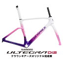 WINSAPCE(ウィンスペース)AGILE ミスティーパープル ULTEGRA R8170 ロードバイク【受注発注:1~2か月予定】
