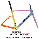 WINSPACE(ウィンスペース)C5 Rainbow Rush 105 R7170 Di2 ロードバイク【受注発注:1〜2か月】