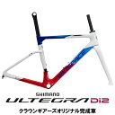 WINSPACE(ウィンスペース)C5 Tricolor ULTEGRA R8170 ロードバイク【受注発注:1〜2か月】