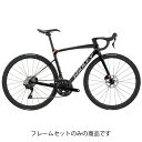 RIDLEY (リドレー) 2025 Fenix SLiC Black-Grey XS フレームセット