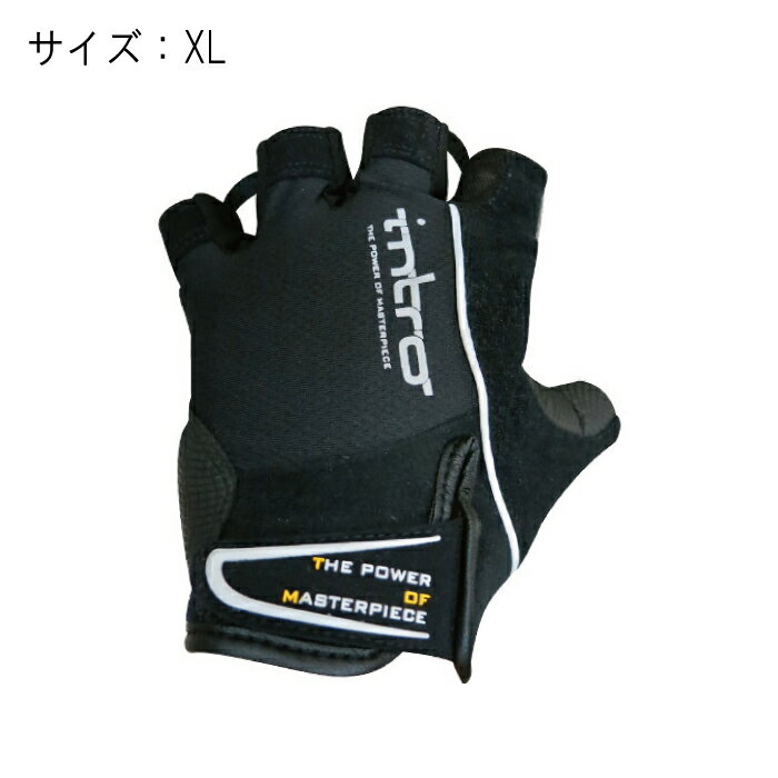 intro (イントロ) Stinger4 スティンガー4 ブラック サイズXL グローブ【ご注文後9ヶ月～】