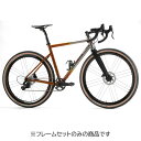 DE ROSA (デローザ) HERA Disc ORANGE サイズ選択制 フレームセット【受注発注:4〜6ヶ月】