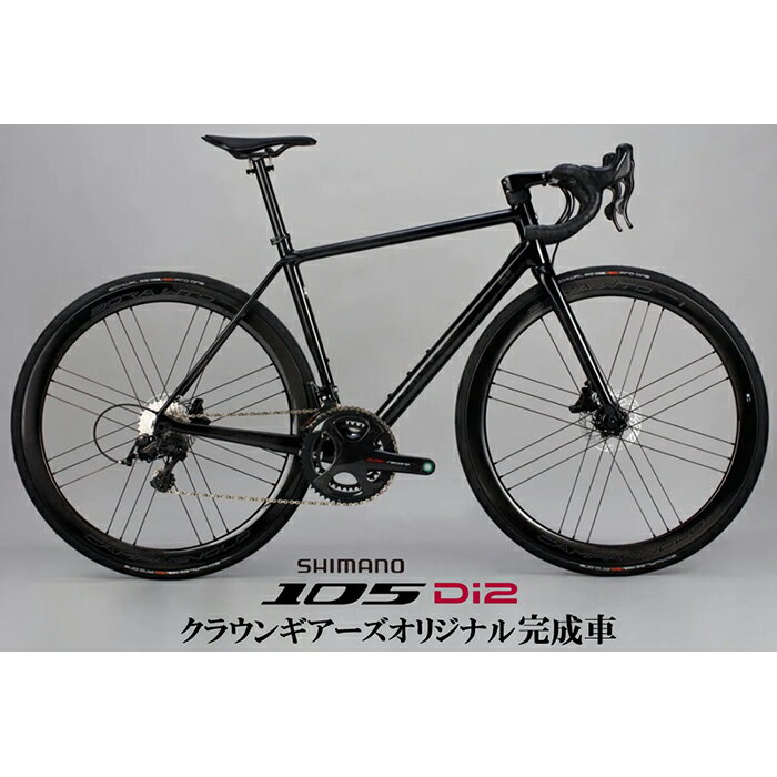 CHAPTER2(`v^[2) HURU Disc ORIGIN SERIES 105 R7170 Di2 12S [hoCN