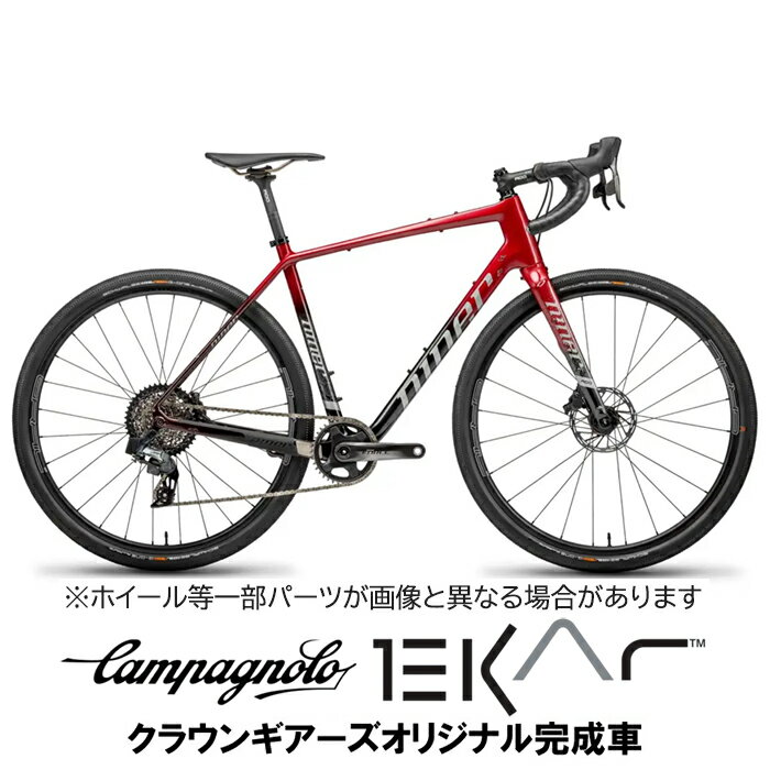 Niner (ナイナー) RLT9 RDO OXBLOOD RED EKAR 1x13S グラベルロードバイク