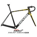 Cervelo (サーベロ) R5 TVLAB Replica RED AXS ロードバイク