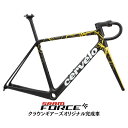 Cervelo (サーベロ) R5 TVLAB Replica FORCE AXS ロードバイク